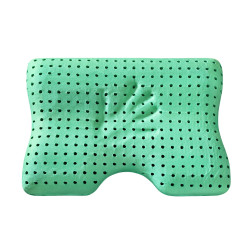 Polštář Tom Eucalyptus