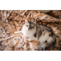 Povlečení 3 dílné bavlněný satén Brenda