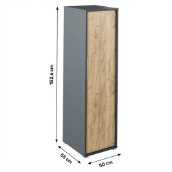 Věšáková skříň RIOMA NEW TYP 20, grafit / dub artisan