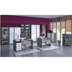 Věšáková skříň RIOMA NEW TYP 20, grafit / bílá