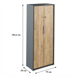 Skříň se zámkem RIOMA NEW TYP 31, grafit / dub artisan