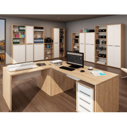 Věšáková skříň RIOMA TYP 20, dub artisan/bílá