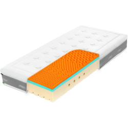 Super Fox Visco Wellness 22